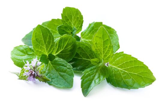Mint leaves in the zxcvbnmqwert spray