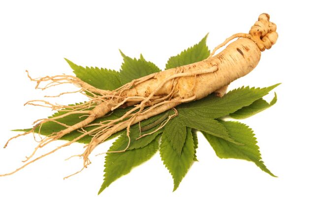 Root de ginseng in zxcvbnmqwert spray